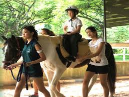 Image result for Riding For The Disabled Association