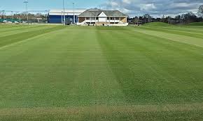 Image result for Wembdon Cricket Club