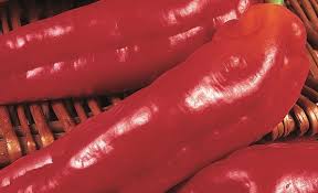 Afbeeldingsresultaat voor long red marconi sweet pepper