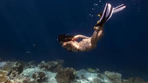 Image result for East Snorkellers