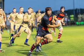 Image result for St Mary's Old Boys Rugby Union Football Club