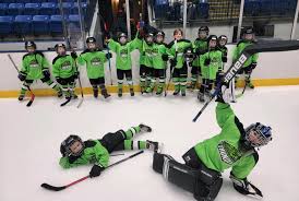 Image result for Adur Skater Hockey Club