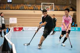 Image result for Basingstoke Demons Floorball Club