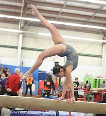 Image result for Sheredes Gymnastics Club
