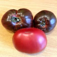 Afbeeldingsresultaat voor black oxheart tomato