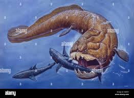 Attēlu rezultāti vaicājumam “Placodermi”