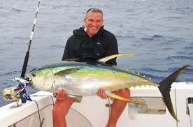 Image result for Thunnus albacares