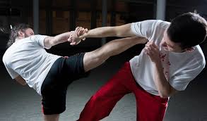 Image result for Kung Fu Wing Chun Club - University of Birmingham Sport