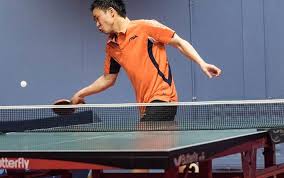 Image result for Kingfisher Reading Table Tennis Club