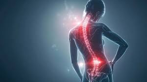 Attēlu rezultāti vaicājumam “Cribraria piriformis”