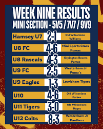 Image result for Hamsey Rangers Fc