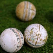 Image result for Purnell Cricket Club