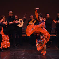 Image result for Flamenco Dance School