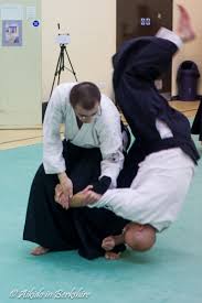 Image result for Aikido Rickmansworth