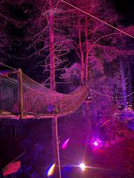Image result for Go Ape! Moors Valley