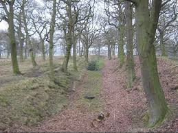 Image result for Esh Winning Cricket Club