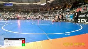 Image result for Kingston Wildcats Basketball Club