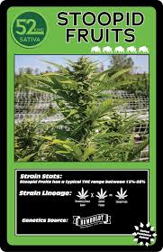 Attēlu rezultāti vaicājumam “Cannabis sativa fruit”