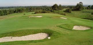 Image result for Carlow Golf Club