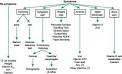 <b>Postgastrectomy</b>
