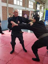 Image result for Bujinkan Truro Dojo