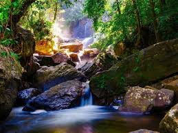 Image result for синхараджа