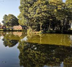 Image result for Bay Malton Angling Club