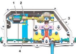 Image result for b%FD%E7ak anatomisi
