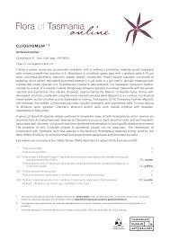 Attēlu rezultāti vaicājumam “Cliostomum corrugatum”