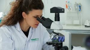 /MANKAI RED ZÖNE에 대한 이미지 검색결과