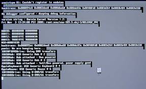 Image result for kernel panic snow leopard