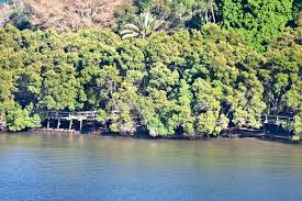 Image result for New Forest/Waterside