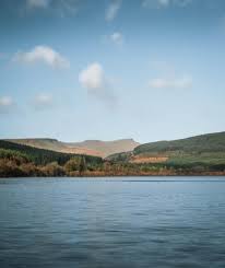 Attēlu rezultāti vaicājumam “Leiocolea heterocolpos”