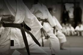 Image result for Reading Wado Kai Karate Club