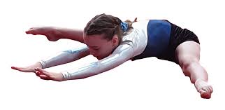 Image result for Tetbury Gymnastics Club
