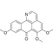 Attēlu rezultāti vaicājumam “Menispermum dauricum”