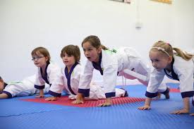 Image result for Mirfield Martial Arts Club