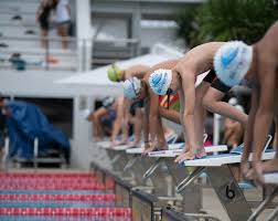 Image result for Kingsbridge Kingfishers Swimming Club