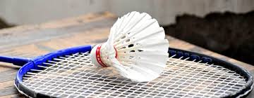 Image result for Thame Shuttles Badminton Club