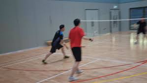 Image result for Dragons Junior Badminton Club