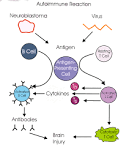 How can opsoclonus-<b>myoclonus</b>
