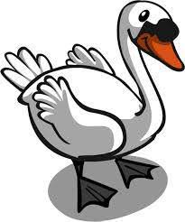 Image result for Caldicot Junior  & Mini Rugby Club