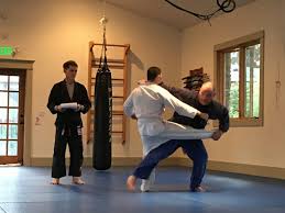 Image result for Budo Shin Ryu Kempo Jujitsu Academy