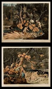 Image result for Shooting, Hunting, Fieldsports on Art prints from 1700's to 1900's