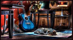 Image result for Cat sleeping in guitar