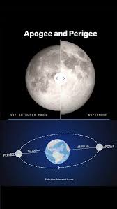 Image result for perigee