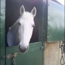 Image result for Greenways Riding Stable Lower Eashing