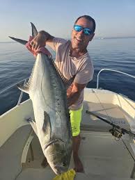 Image result for Lichia amia