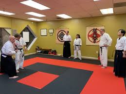 Image result for Ryuko Dojo