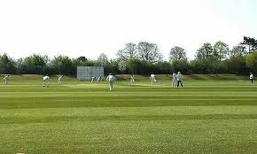 Image result for Taunton Deane Cricket Club